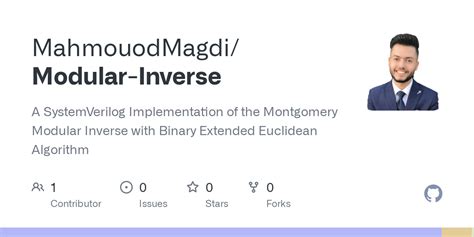 GitHub - MahmouodMagdi/Modular-Inverse: A SystemVerilog Implementation ...