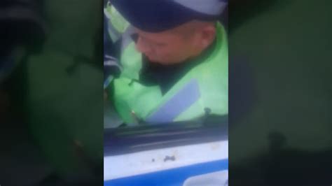 г. курган гибдд сказали фас на маршрутные автобусы останавливают и за ...
