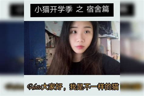 大家好，这里是小猫开学季第一篇，猫咪上学，请多多关照啦～无flag不开学