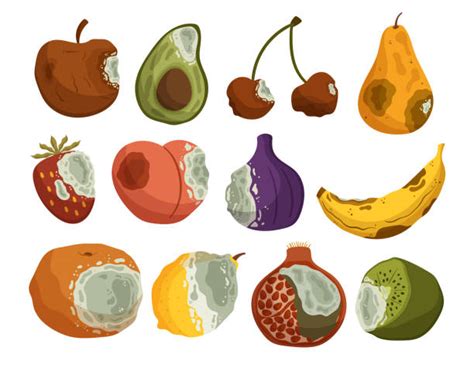 Rotten Fruits Clipart Preschool