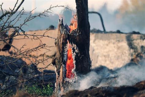 Incendios Forestales Hay Relación Química Entre El Humo Y La Disminución Del Ozono