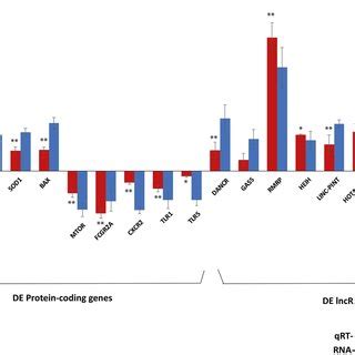 The Qrt Pcr Validation Of De Protein Coding Genes And De Lncrnas In