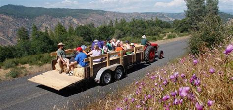 Camp Tuolumne Trails - Tuolumne Trails