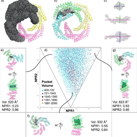 CryoEM Structure Of SG135 A CryoEM 2D Class Averages Showing Clear