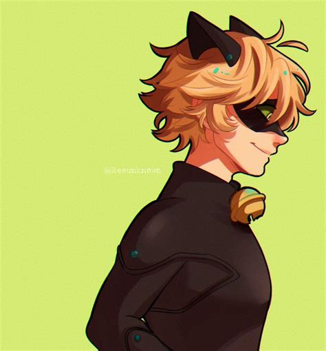 ᴮᴱ레우⁷ On Twitter Fotos De Perfil Fotos De Cat Noir Imágenes De