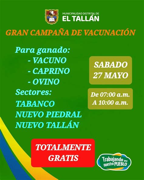 Gran Campaña De Vacunación Para Ganado Campañas Municipalidad Distrital De El Tallán