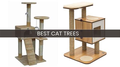 10 Best Cat Trees Your Buyers Guide