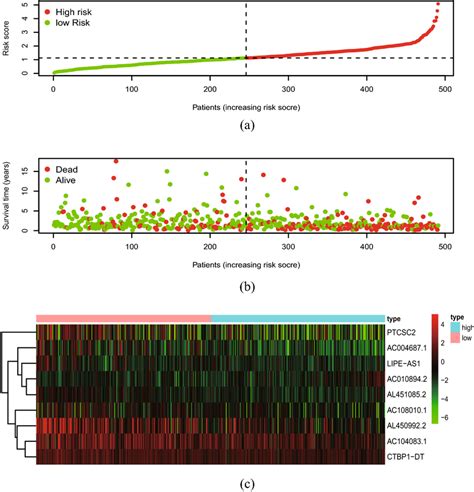 The Analysis Of Ferroptosis Related Lncrnas Signature For Patients With