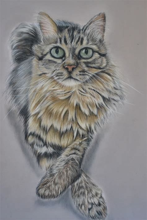 Peinture Chat Aux Pastels Secs