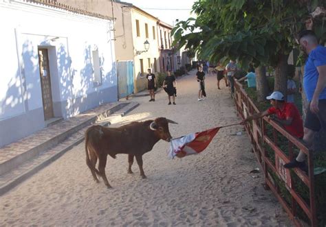 Diversi N Asegurada En Las Fiestas De Tarazona La Gaceta De Salamanca