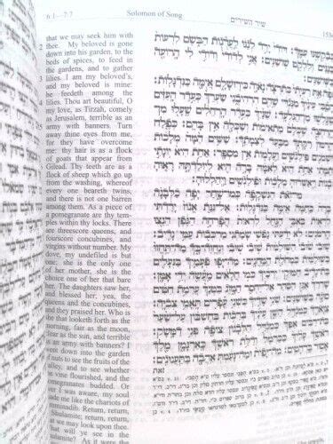 Tanakh Jewish Holy Bible Book Tanakh Torah Neviim Ketuvim Hebrew And