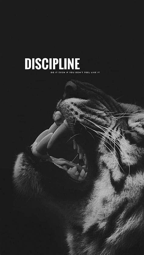 Motivational Quote Gym Discipline Hd Phone Wallpaper Pxfuel