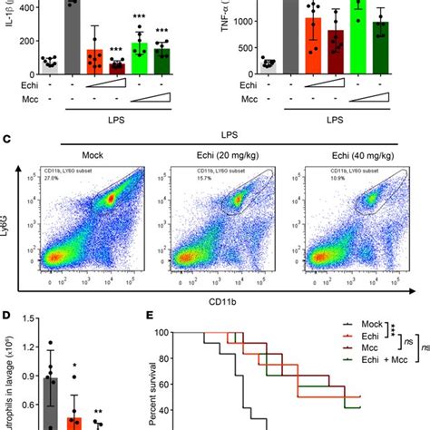 Echinatin Inhibits NLRP3 Inflammasome Activation In Mouse BMDMs And