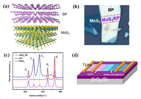 A Atomistic Illustrations Of The Vdw Stacked Mos 2 Bp Heterojunction Download Scientific