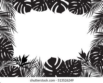 Vector Tropical Jungle Background Palm Trees Stock Vector Royalty Free