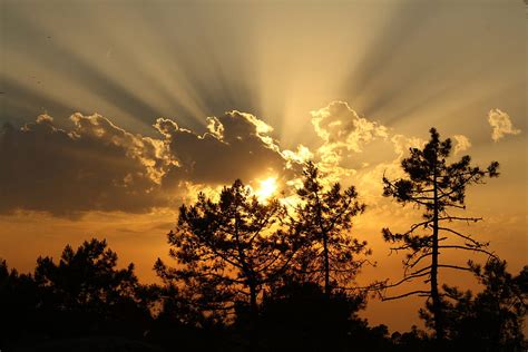 Nature Trees Sunset Sun Clouds Beams Rays HD Wallpaper Pxfuel