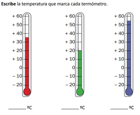 Actividades prácticas de Matemáticas 6to Escuela María Mercedes Meyreles