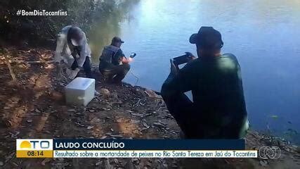 Laudo Do Naturatins Aponta Que Morte De Peixes Em Rio Teve Causas