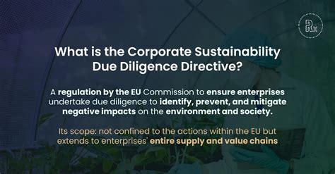 9 Key Insights Into The Corporate Sustainability Due Diligence Directive