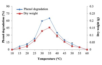 The Effect Of Temperatures On The Growth And Phenol Degradation Of