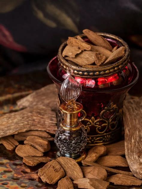 What Does Oud Smell Like 5 Best Perfumes To Try Everfumed Fragrance