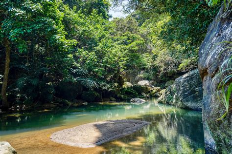 Okinawa Iriomote Island Snow Monkey Resorts