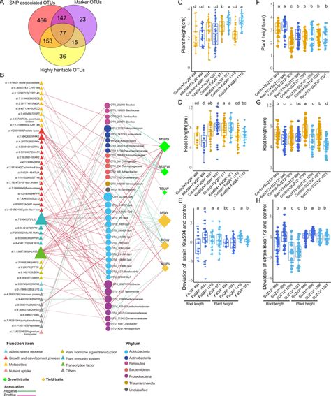 Nature Communications 刘欢王二涛团队研究揭示作物的基因型依赖性微生物效应！ 知乎