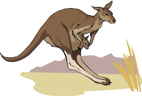 Kangaroos Jumping Stock Illustrations 102 Kangaroos Jumping Clip