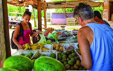 Hopkins Village The Caye You Can Drive To On The Belize Coast