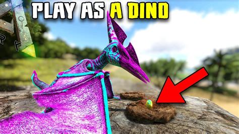 The Pteranodon Nests Play As A Dino Ark Survival Evolved Youtube