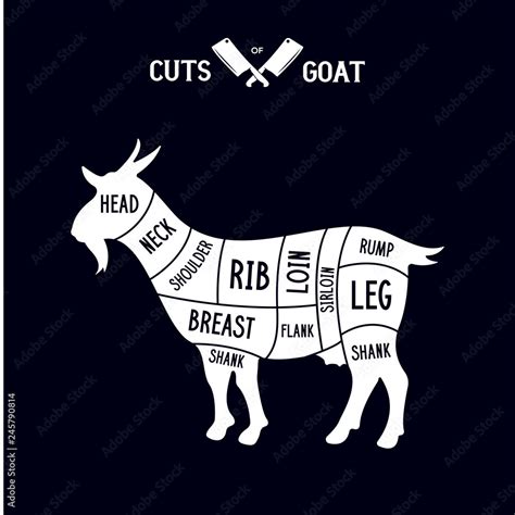 Meat Cuts Goat Diagrams For Butcher Shop Scheme Of Goat Animal