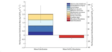 Census Based Summary Of Mean Calcification And Mean Caco 3