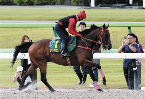 【安田記念】香港から参戦のロマンチックウォリアー、シャム師「体はもう十分に仕上がっているよ」調整は軽めに：中日スポーツ・東京中日スポーツ