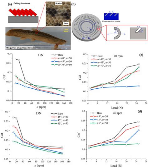 Biomimetics Free Full Text Tribological Behavior Of Bioinspired