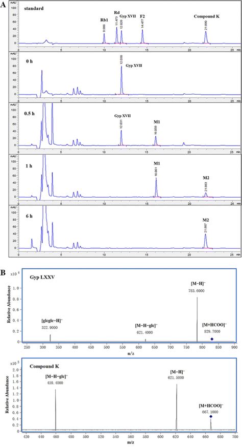 a LC–MS profiles for the conversions of gypenoside XVII to compound K ... 