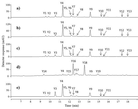 Hplc Dad Chromatograms λ 350 Nm Of Yellow Extracts Taken From A Download Scientific