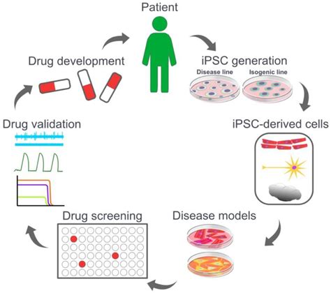 Ips Treatment Of Kidney Disease Generating Main