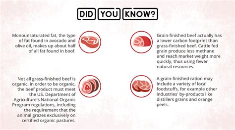 What Is The Difference Between Grass Fed And Grain Fed Beef