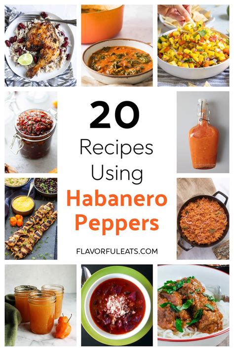 Recipes Using Habanero Peppers