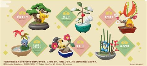 【楽天市場】ポケットモンスター ぽけっとbonsai 6個入りbox 食玩 リーメント 《在庫切れ》：あみあみ 楽天市場店