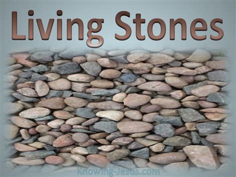 1 Peter 2:5 Living Stones (gray)