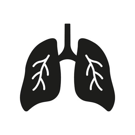 Healthy Bronchial Respiratory Internal Organ Glyph Icon Human Lung