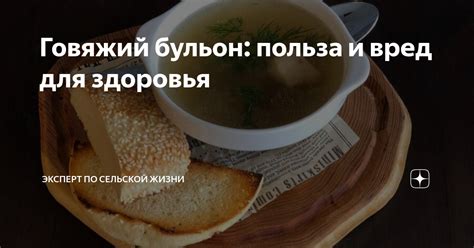 Говяжий бульон: польза и вред для здоровья | Эксперт по сельской жизни ...