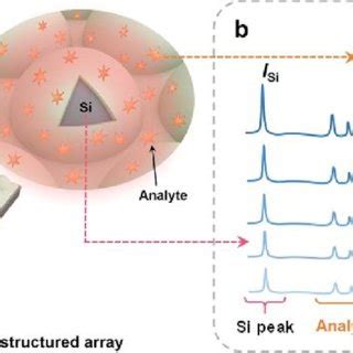 Schematic Illustration For The Strategy Of Quantitative SERS Based On