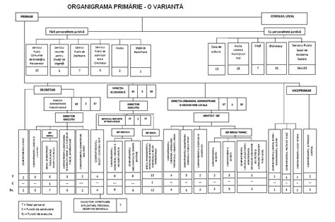 Model Organigrama Organigrama Unei Firme