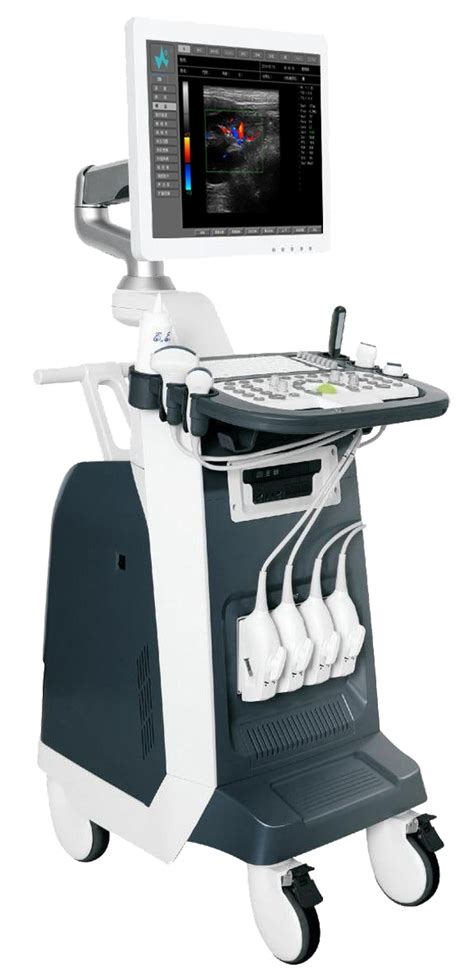 Welld FDC8100V Vet Color Doppler Ultrasound Trolley