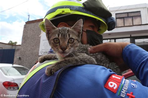 Bomberos Querétaro on Twitter Miércoles PronósticoDelTiempo Se