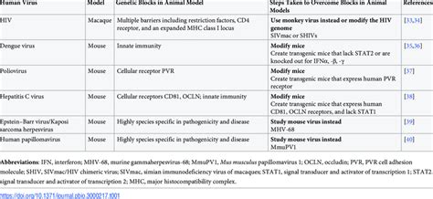 Animal models of human viruses as examples of attempted "reverse ...