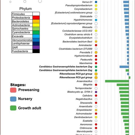 SPIEC EASI Correlation Results Between Kazachstania Slooffiae And