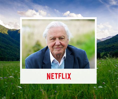 What We Learned From David Attenboroughs Netflix Documentary A Life